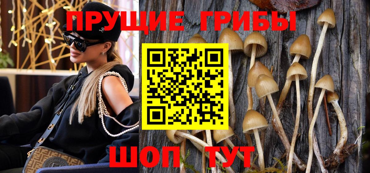 Псилоцибиновые грибы Cubensis  Вход с VPN  Таганрог 